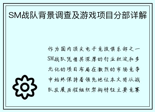 SM战队背景调查及游戏项目分部详解